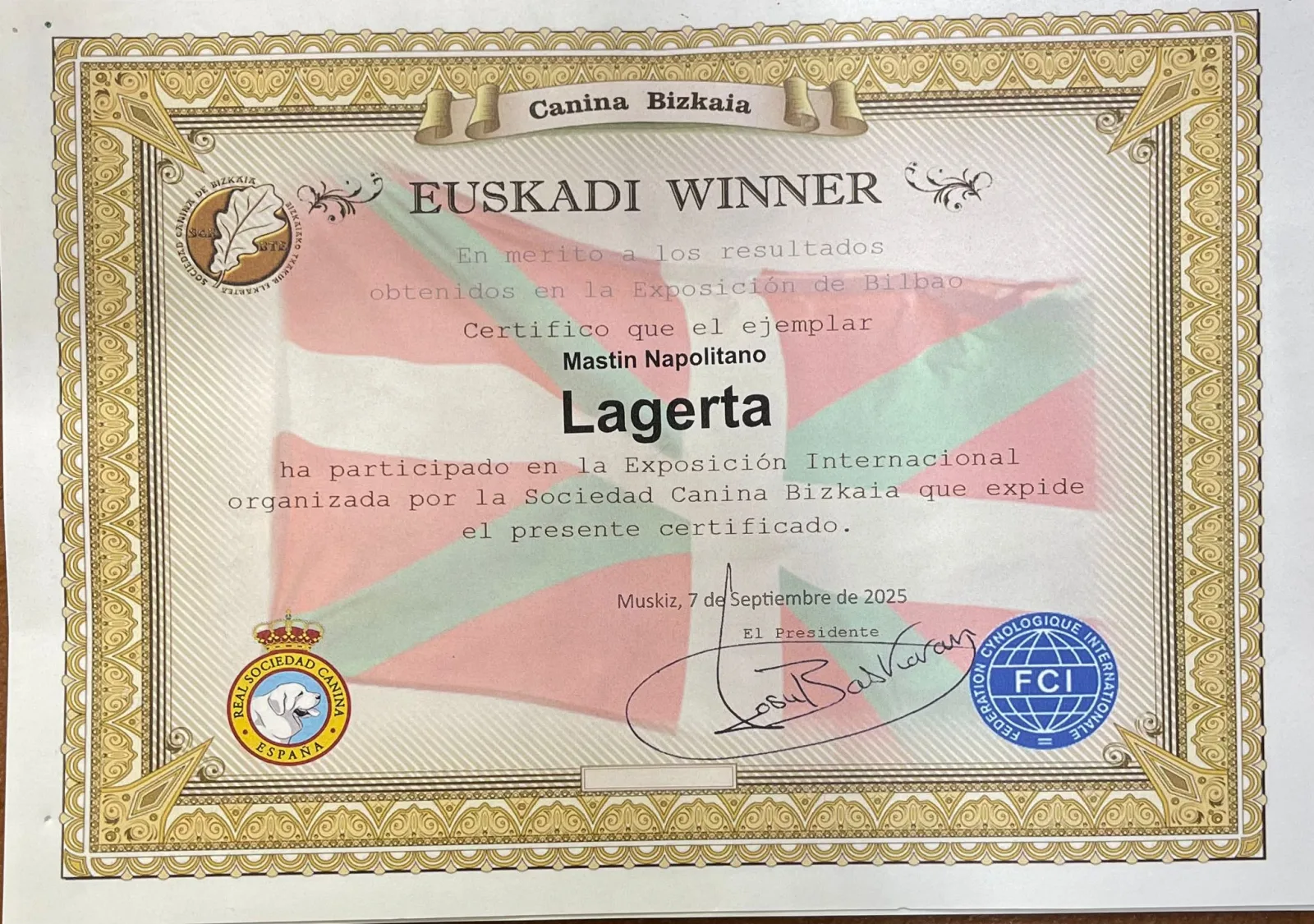 Campeón 2