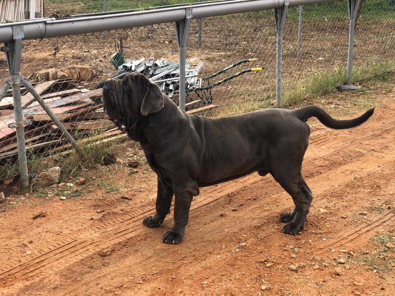 Enzo Del Valle Sombraluna 1